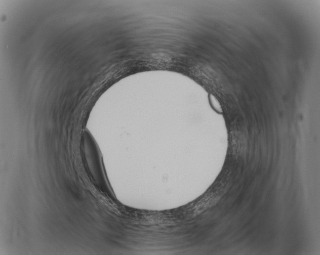 X0000085081057200704021431