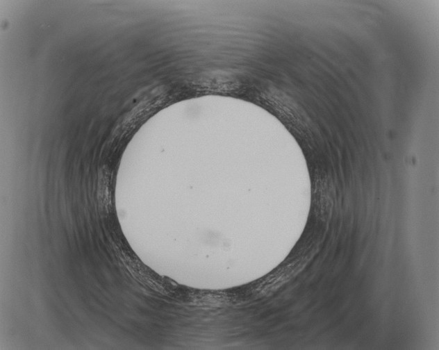 X0000085081058200704021431