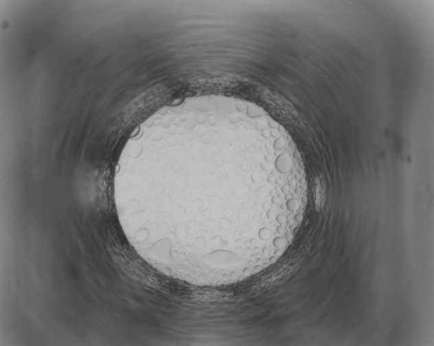 X0000085081059200704021431