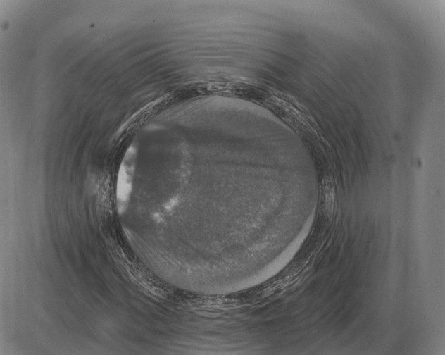 X0000085081060200704021431