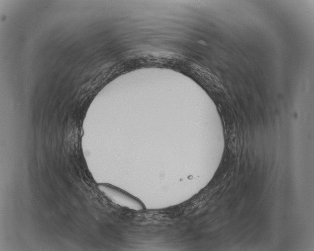 X0000085081061200704021431