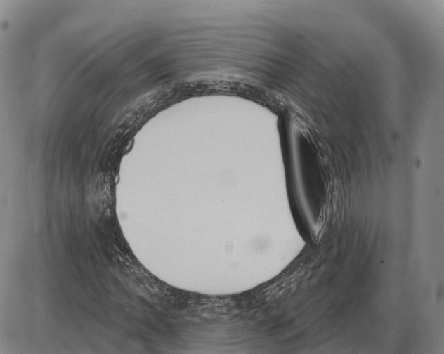 X0000085081062200704021431