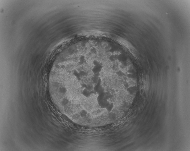 X0000085081063200704021431