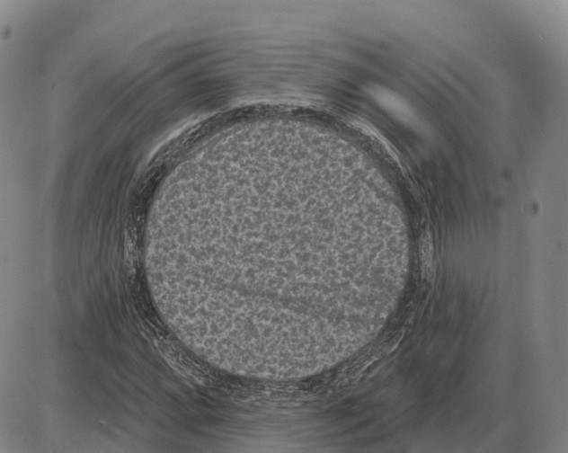 X0000085081064200704021431