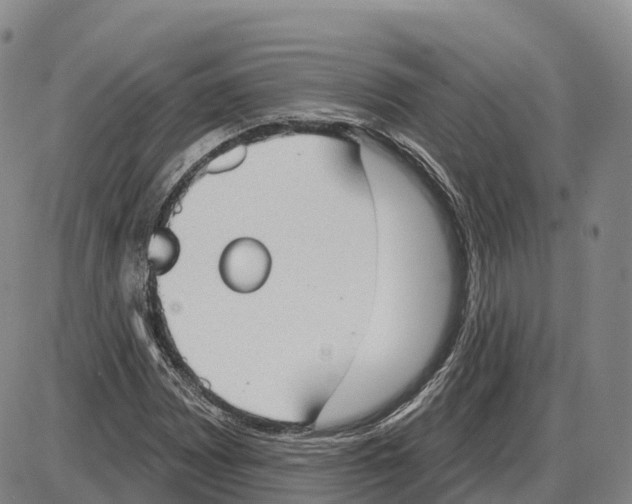 X0000085081065200704021431