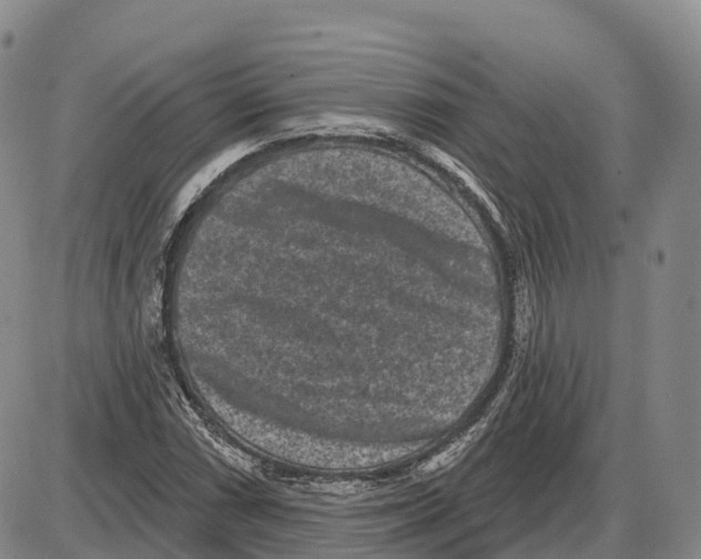 X0000085081066200704021431