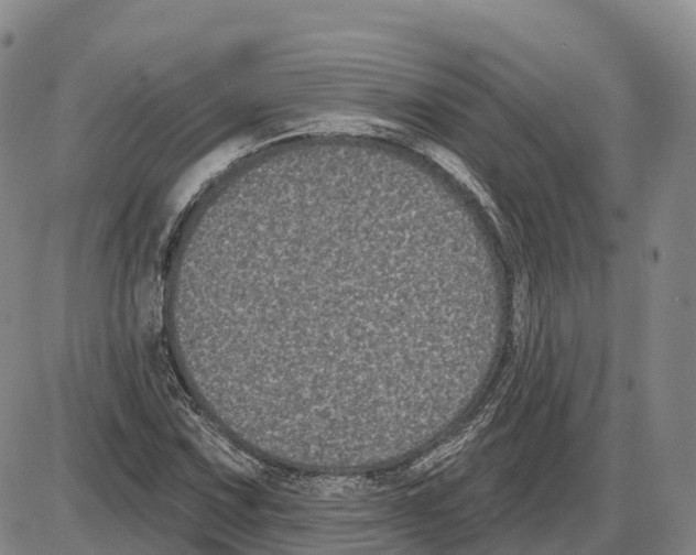 X0000085081067200704021431