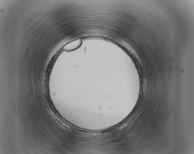 X0000085081068200704021431