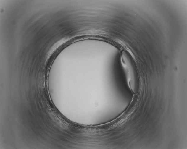 X0000085081069200704021431