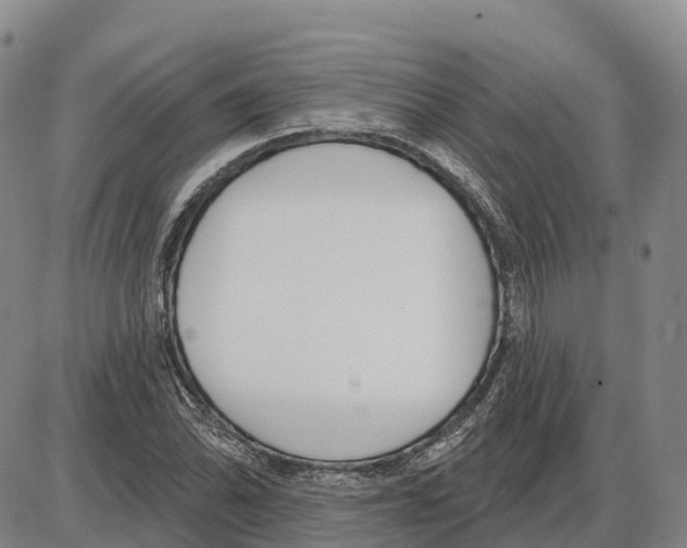 X0000085081070200704021431