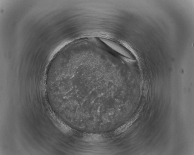 X0000085081071200704021431