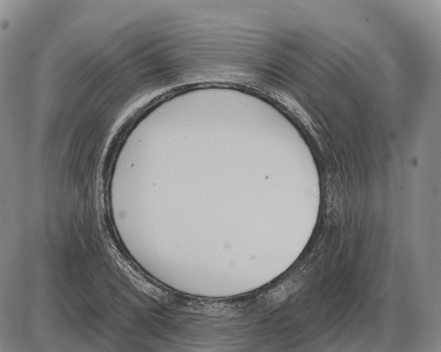 X0000085081072200704021431