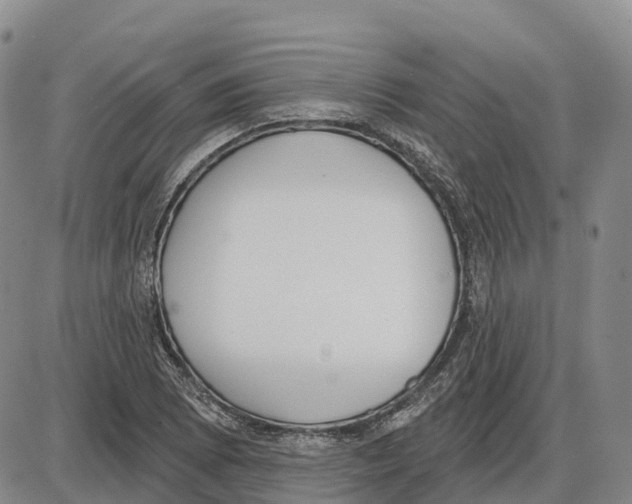 X0000085081073200704021431