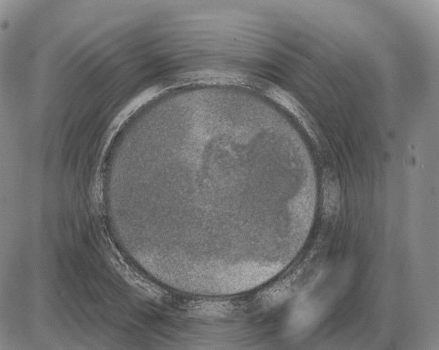 X0000085081074200704021431