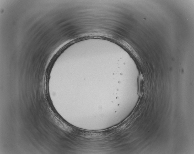 X0000085081076200704021431