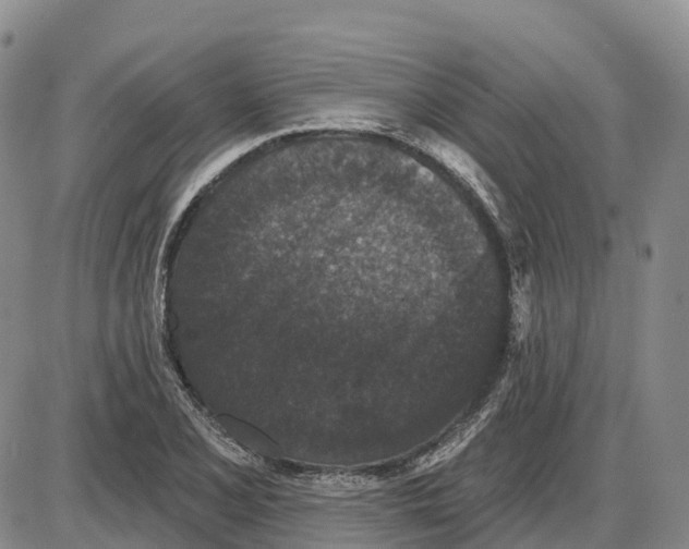 X0000085081077200704021430