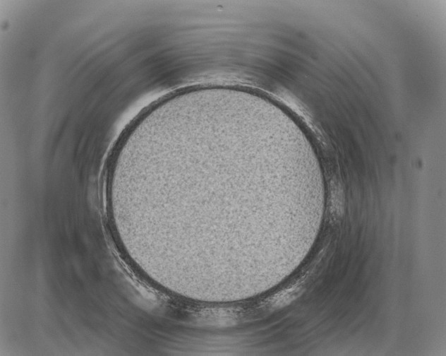 X0000085081078200704021430