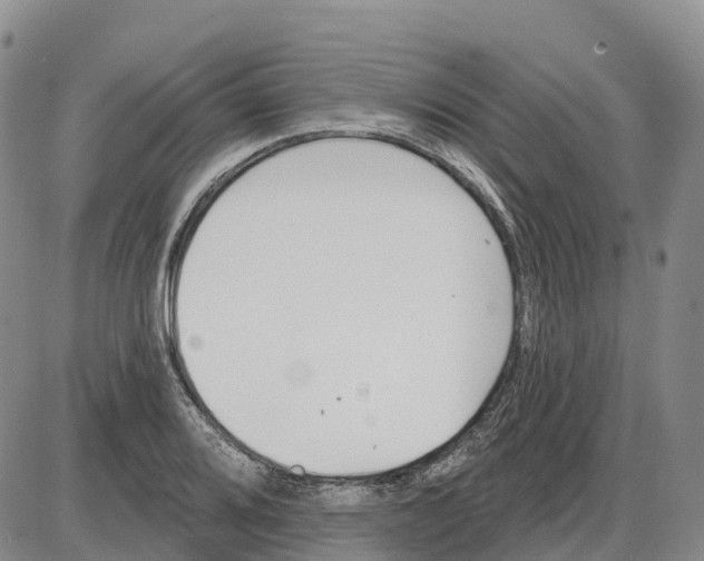 X0000085081080200704021430