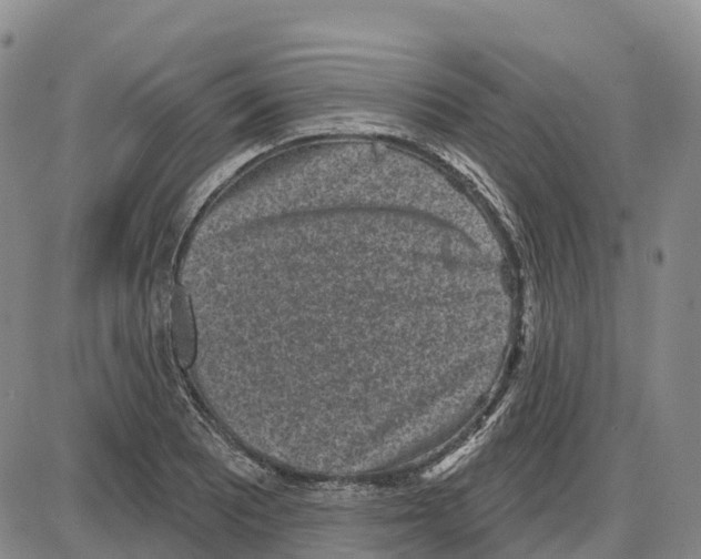 X0000085081081200704021430