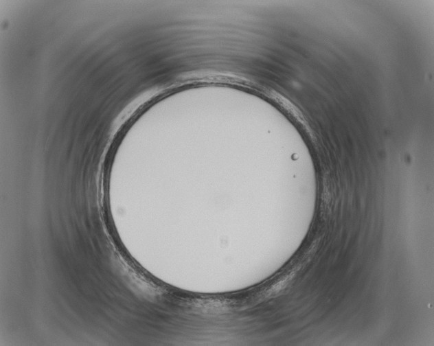 X0000085081082200704021430