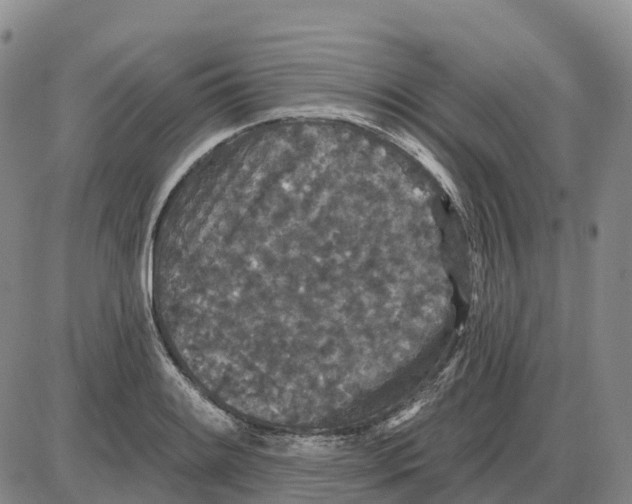 X0000085081084200704021430