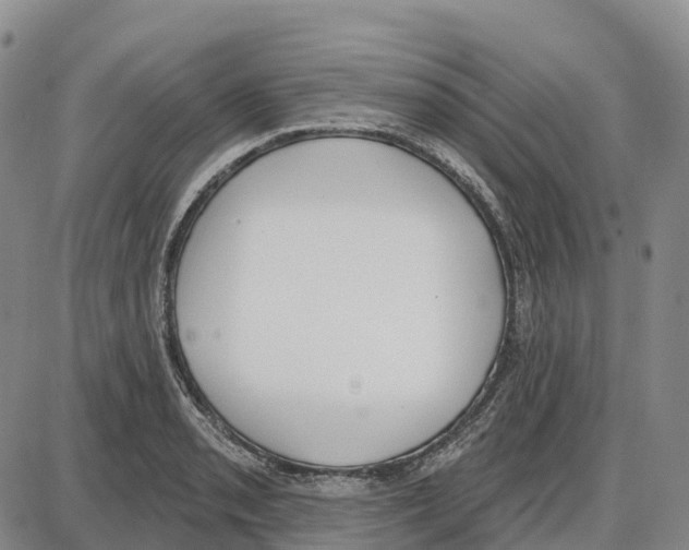 X0000085081085200704021430