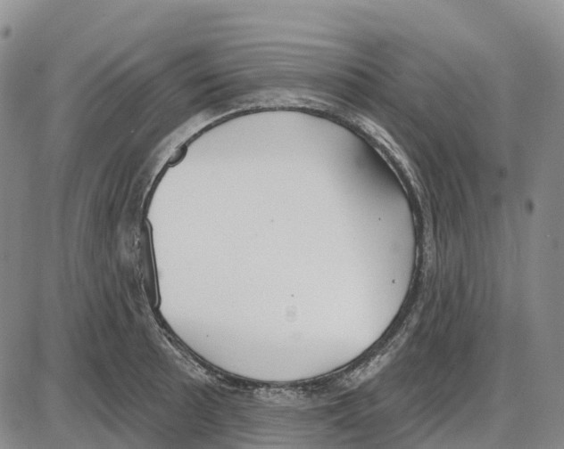 X0000085081089200704021430