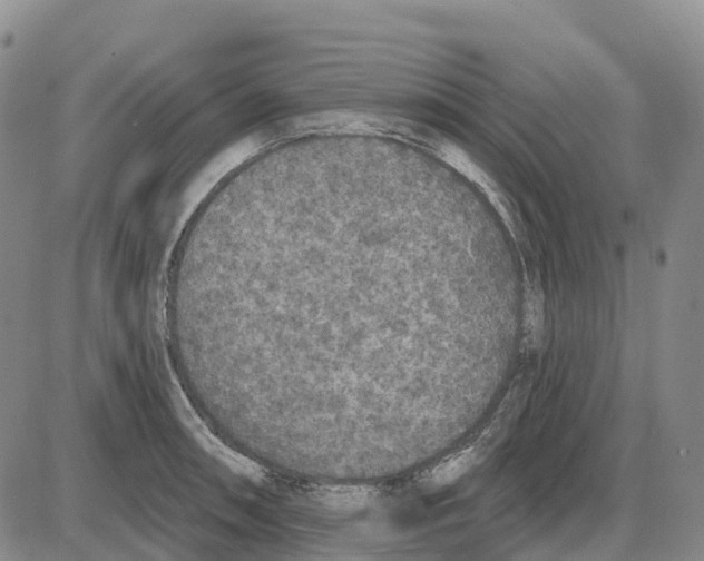 X0000085081090200704021430