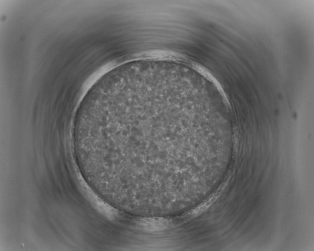 X0000085081091200704021430