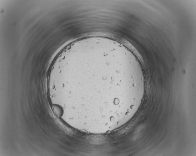 X0000085081092200704021430