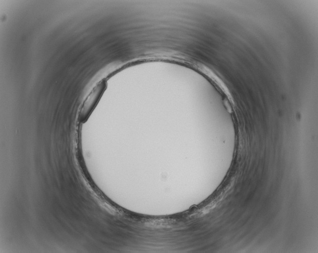 X0000085081093200704021430