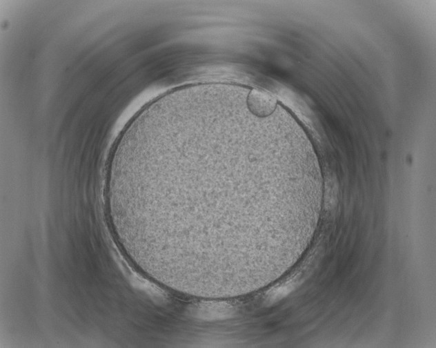 X0000085081094200704021430