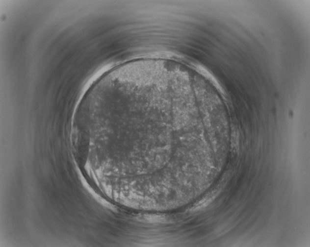 X0000085081095200704021430