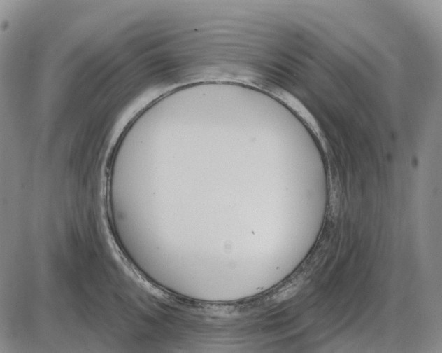 X0000085081096200704021430