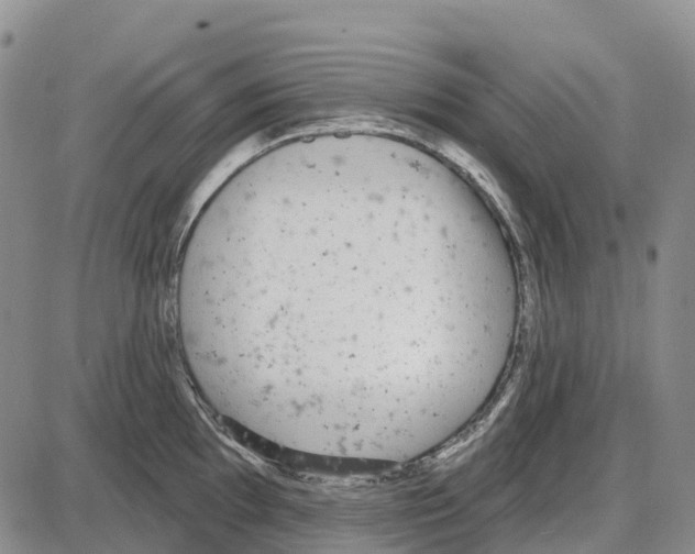 X0000085081097200704021430