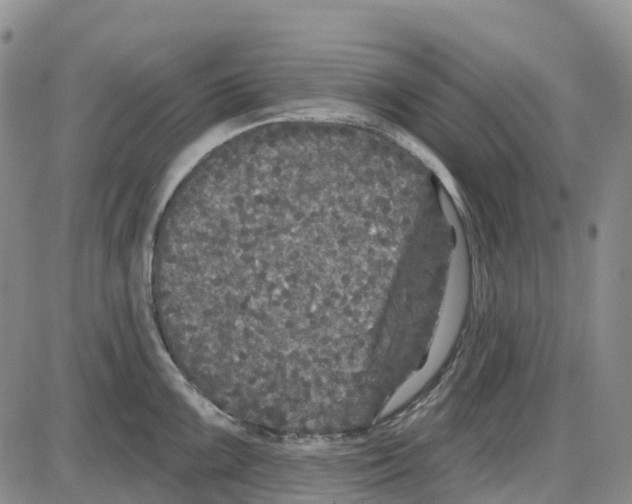 X0000085081099200704021430