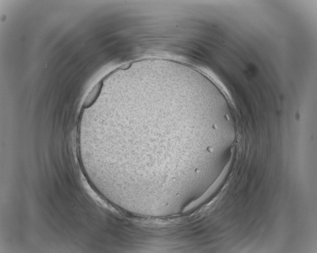 X0000085081100200704021430