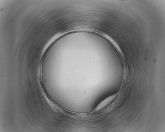 X0000085081101200704021430