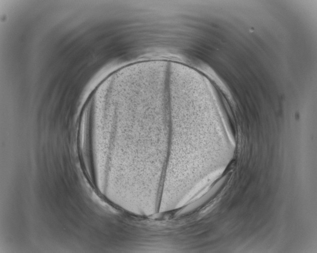 X0000085081102200704021430