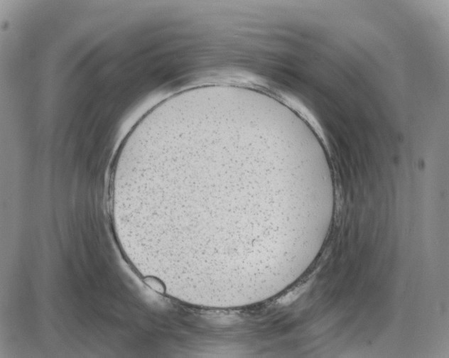 X0000085081103200704021430