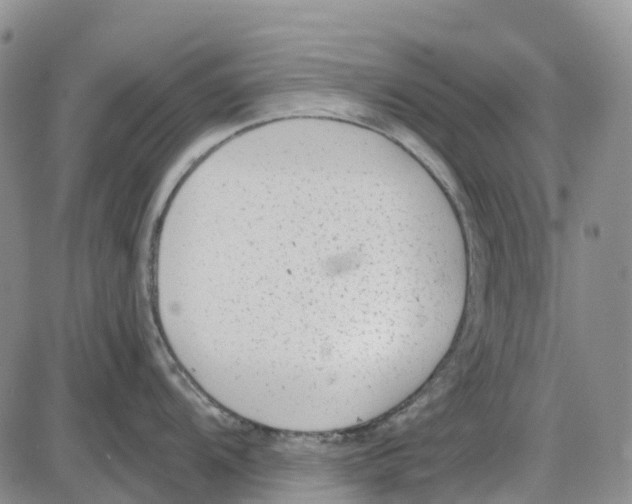 X0000085081104200704021430