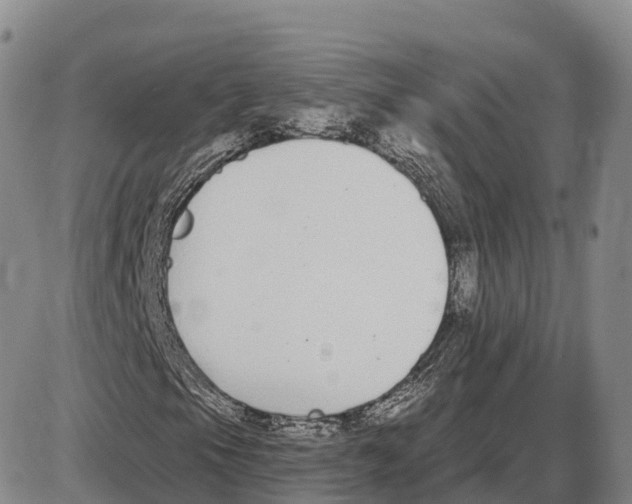 X0000085081105200704021429