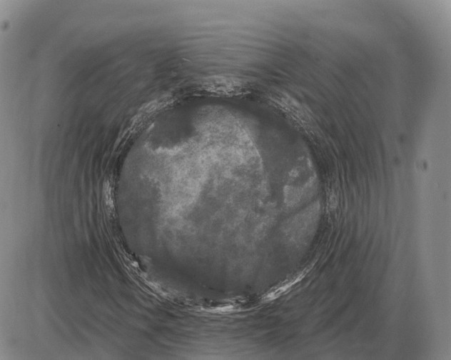 X0000085081106200704021429