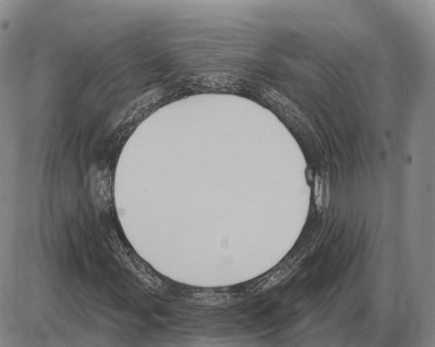 X0000085081107200704021429