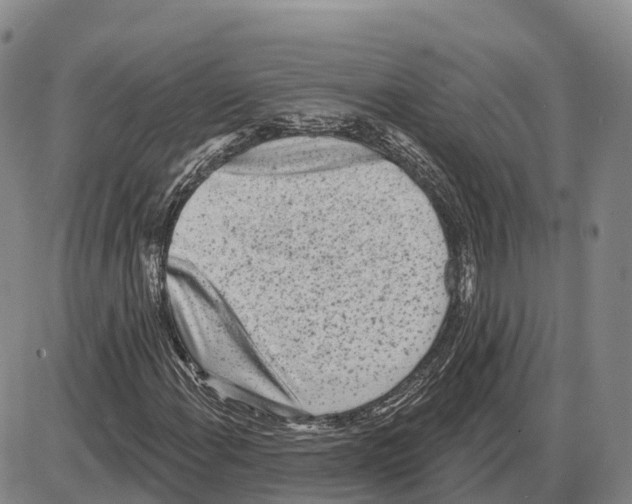 X0000085081108200704021429