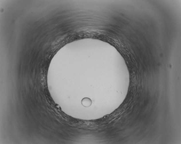 X0000085081109200704021429