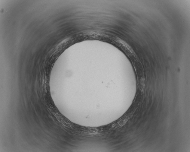 X0000085081111200704021429