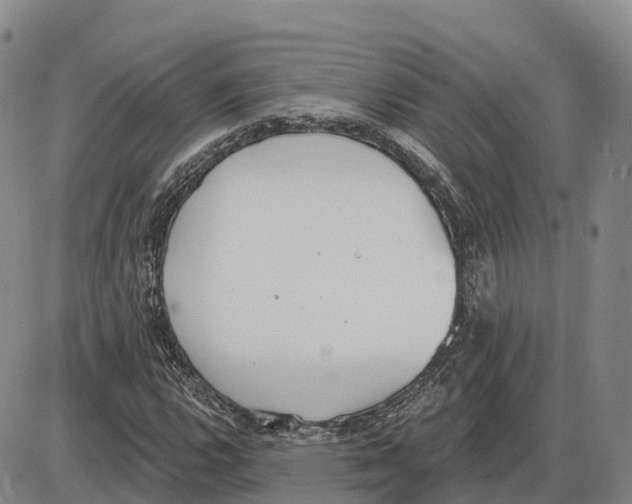 X0000085081112200704021429