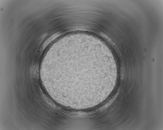 X0000085081113200704021429