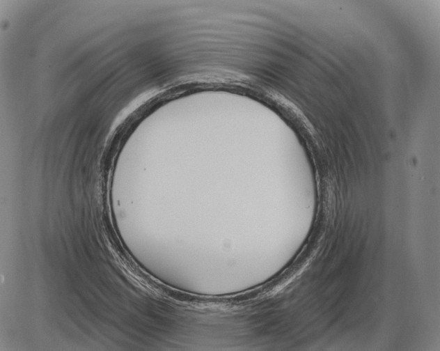 X0000085081114200704021429